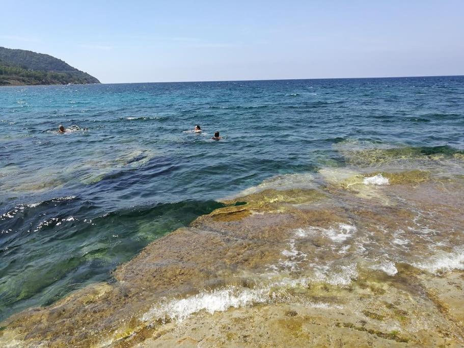 Appartamento La Conchiglia di Trentova Agropoli Esterno foto