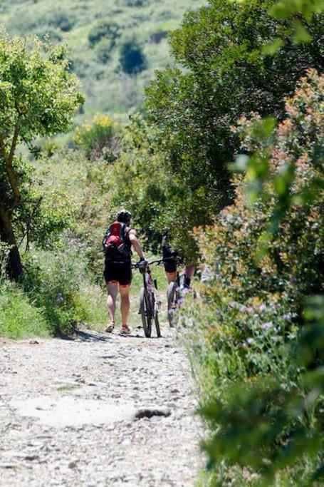 Appartamento La Conchiglia di Trentova Agropoli Esterno foto