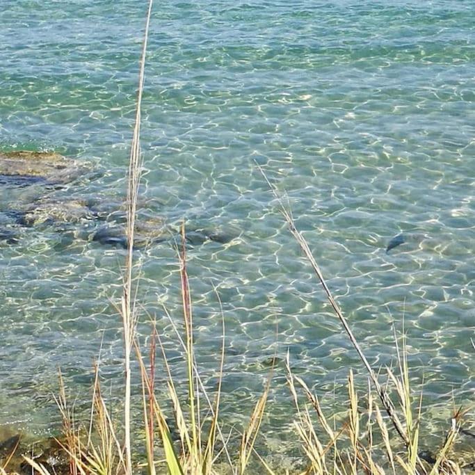 Appartamento La Conchiglia di Trentova Agropoli Esterno foto